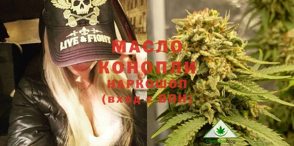 прущие грибы Вязьма