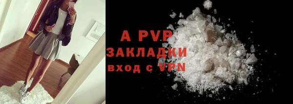 прущие грибы Вязьма