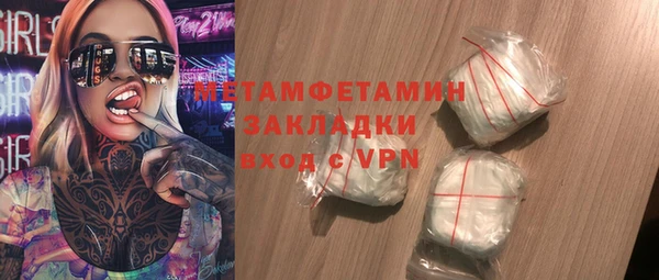 прущие грибы Вязьма