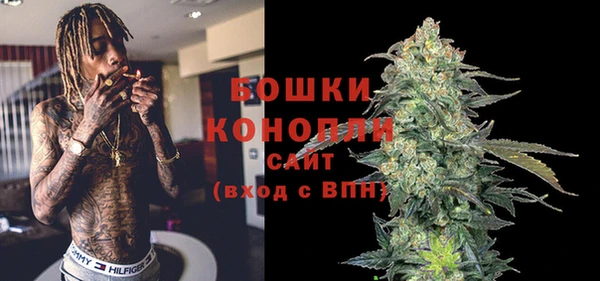 прущие грибы Вязьма