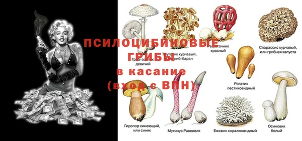 первитин Горняк