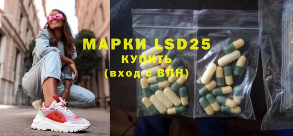 прущие грибы Вязьма