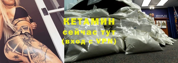 прущие грибы Вязьма